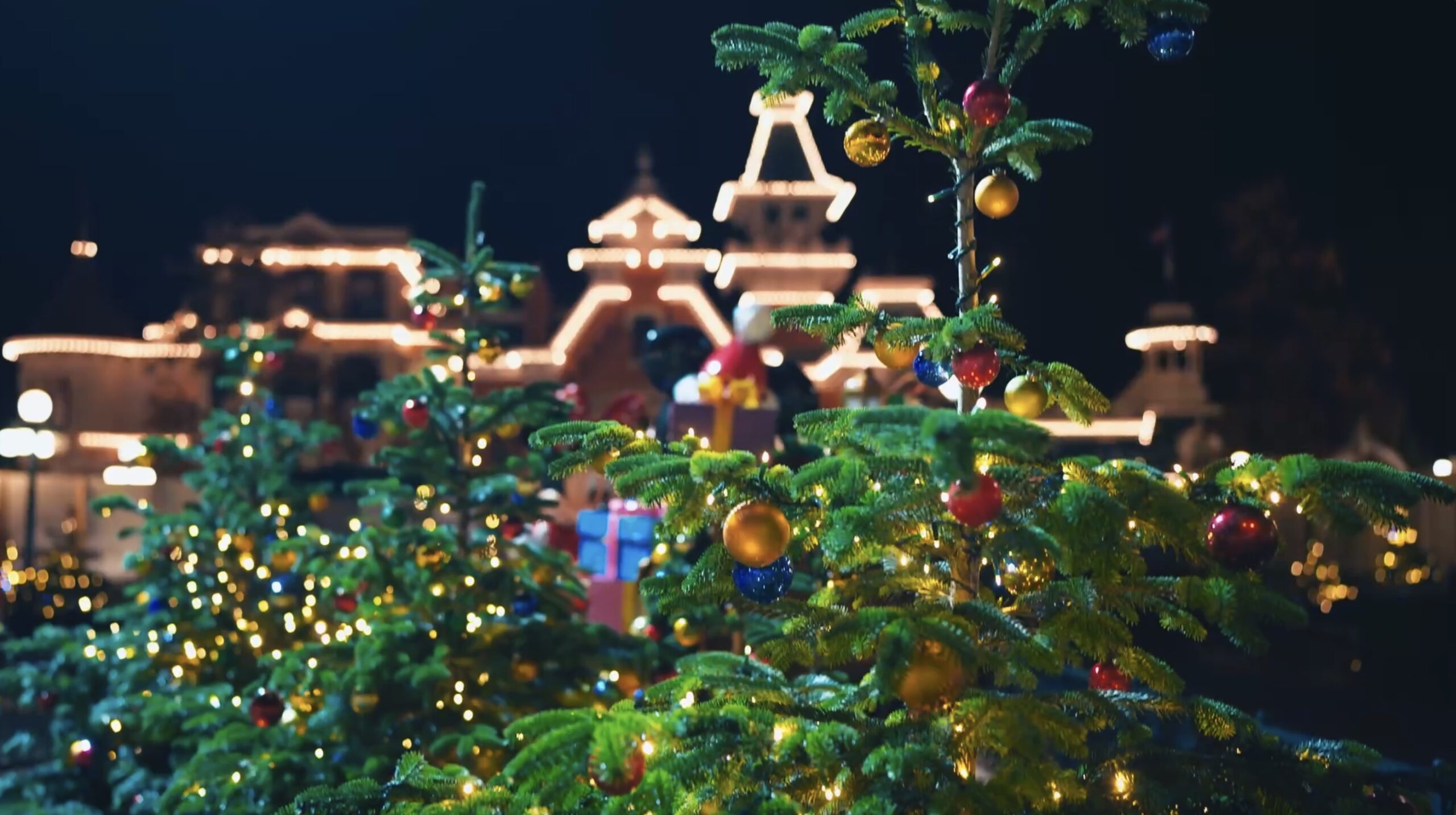 Des sapins durables pour le Noël Enchanté Disney