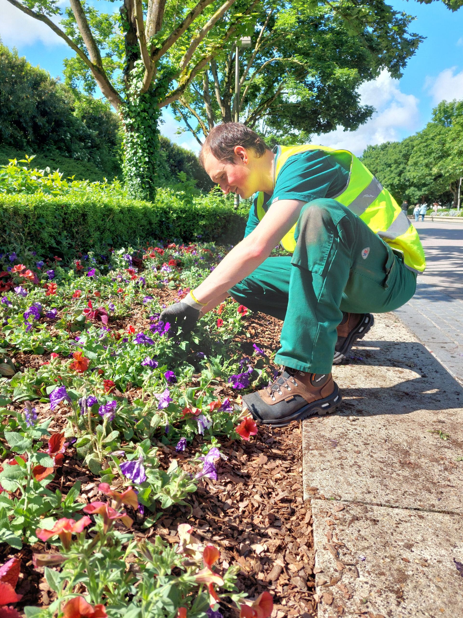 The flowerbeds at Disneyland Paris are decked out in summer colours