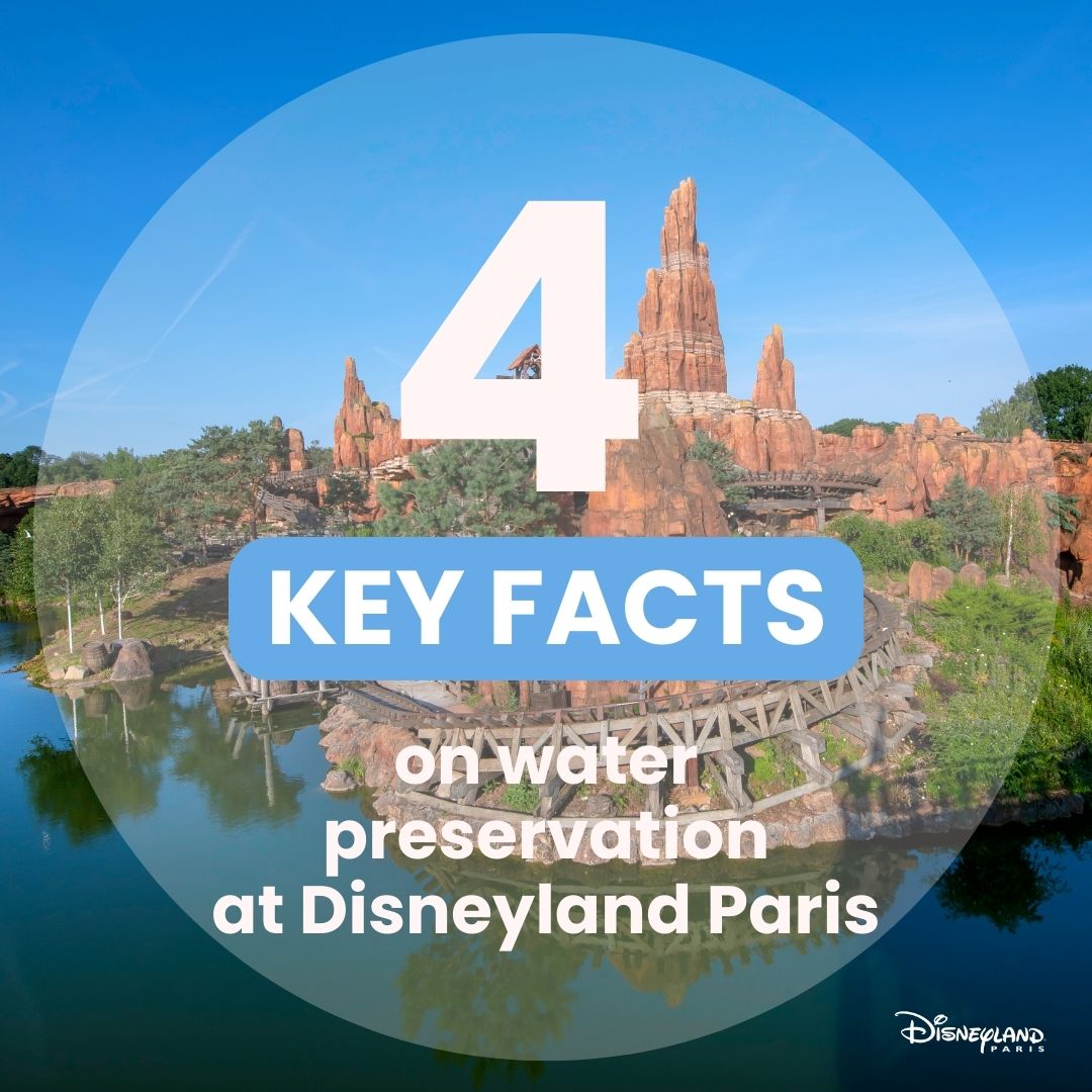 World Water Day: focus on the actions taken by Disneyland Paris to protect water resource 