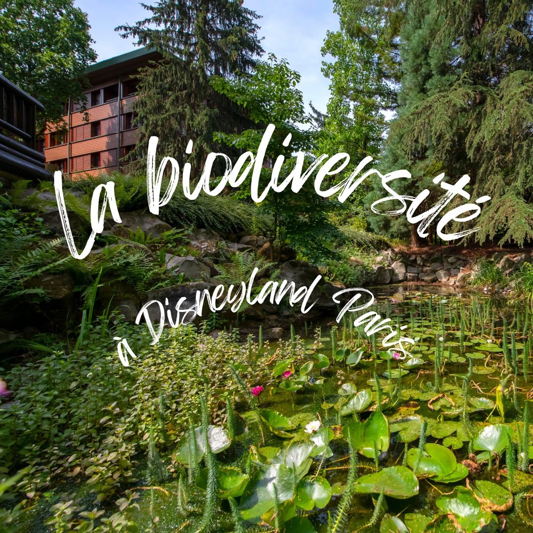 Célébrer la nature à Disneyland Paris