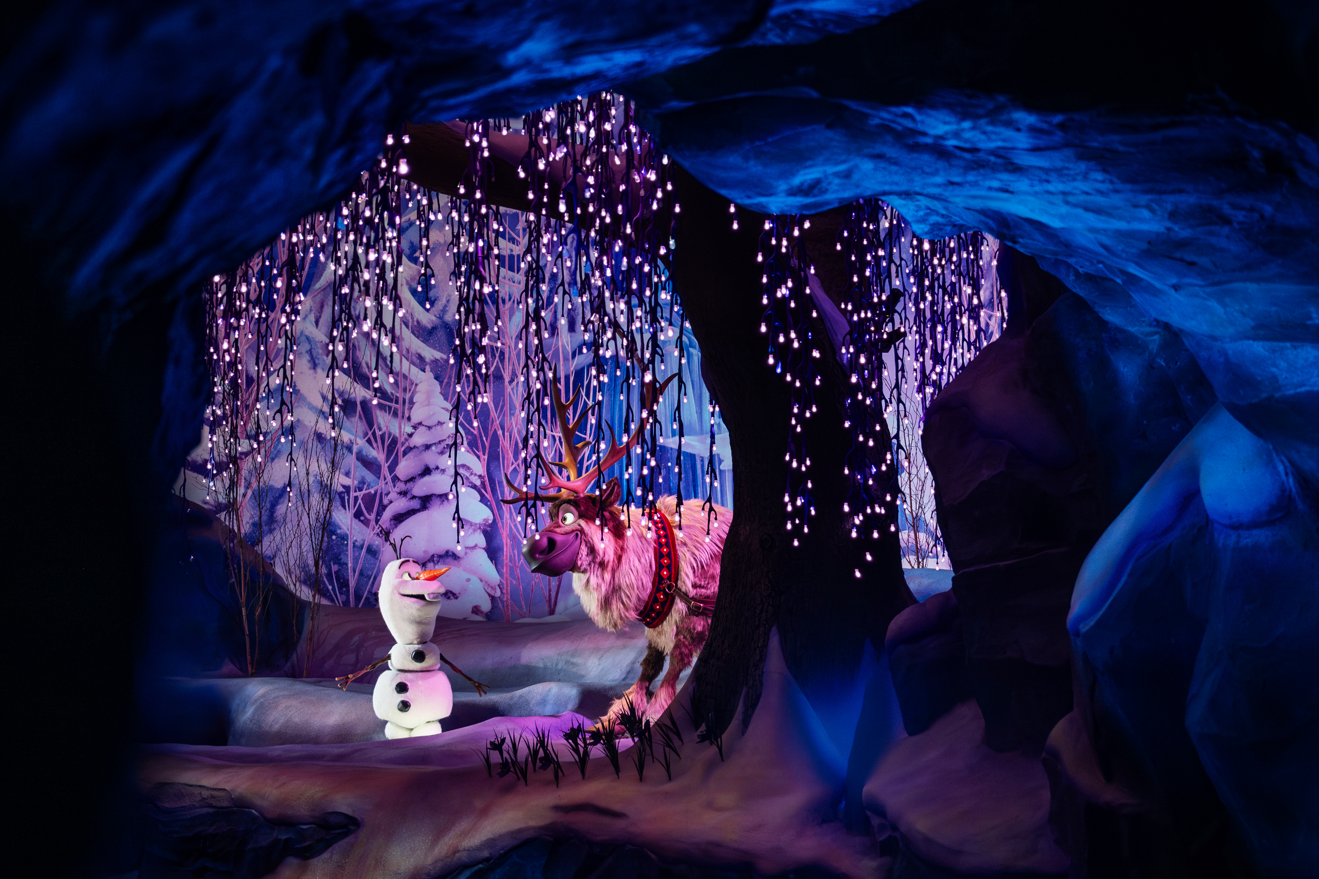 UNA NUOVA ATTRAZIONE PER TUTTA LA FAMIGLIA