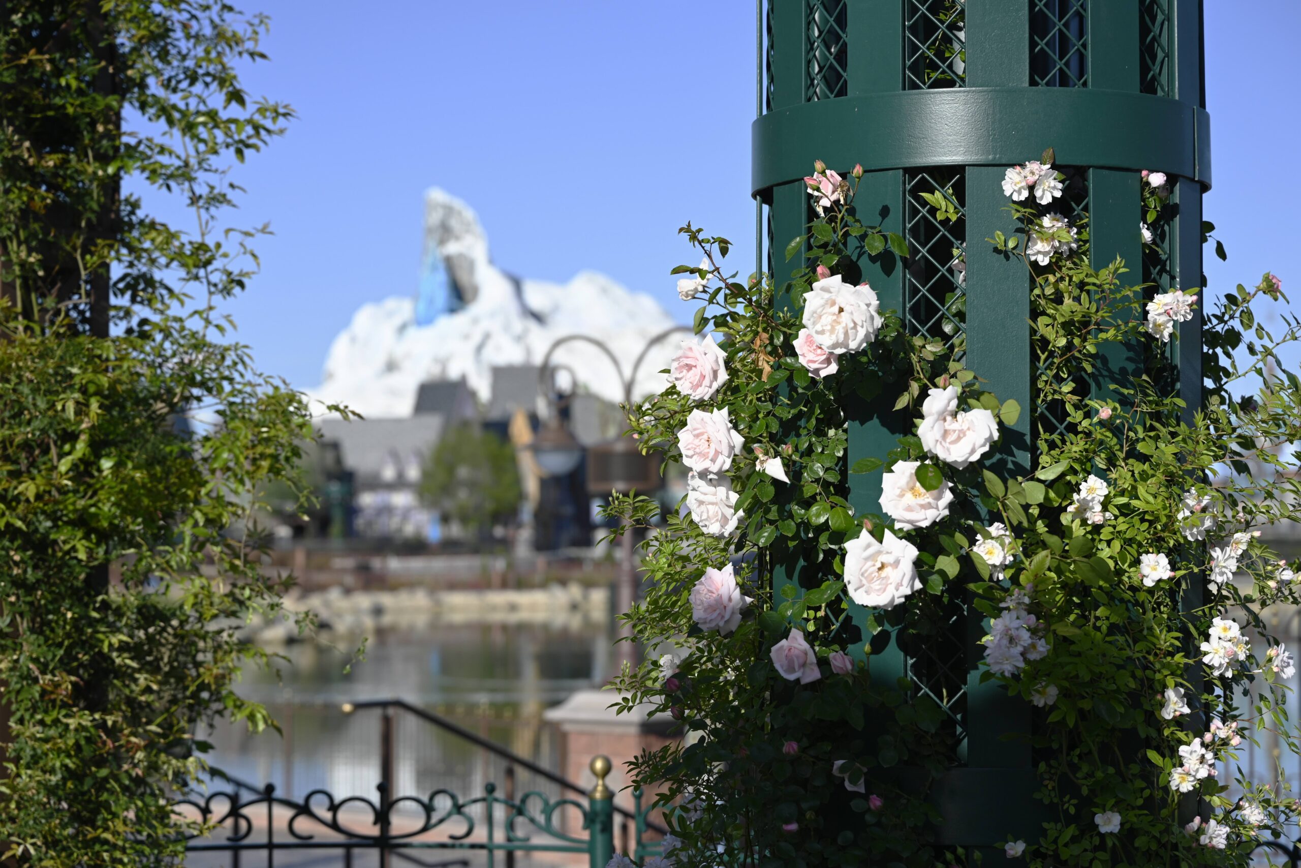 At Disney Adventure World, landscaping designed for immersion… and for pollinators