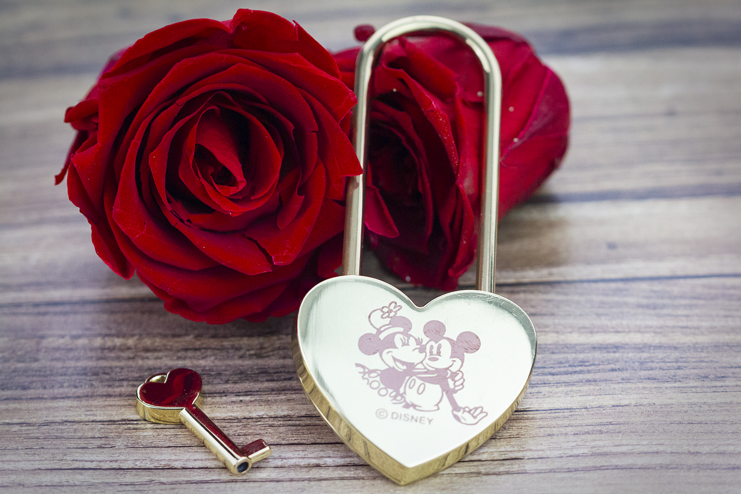 10 idées pour déclarer son amour à son/sa valentin(e) pour la Saint-Valentin à Disneyland® Paris  !
