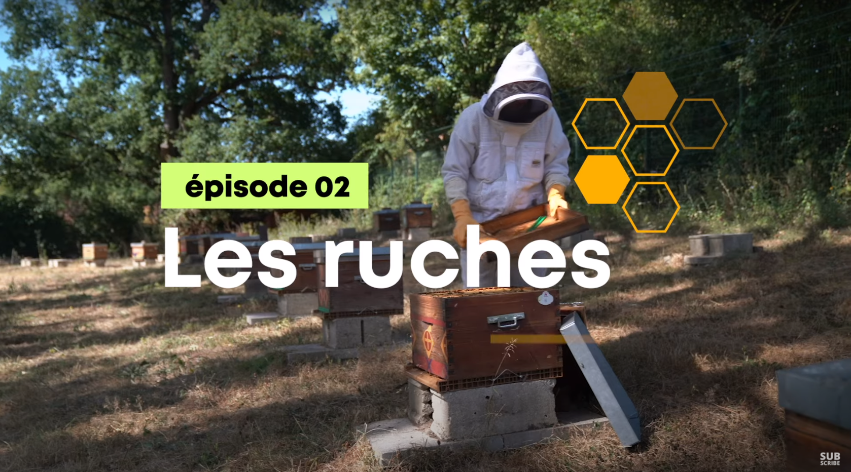 Disneyland Paris : l’enVERT du décor [ÉPISODE 2 : LES RUCHES]