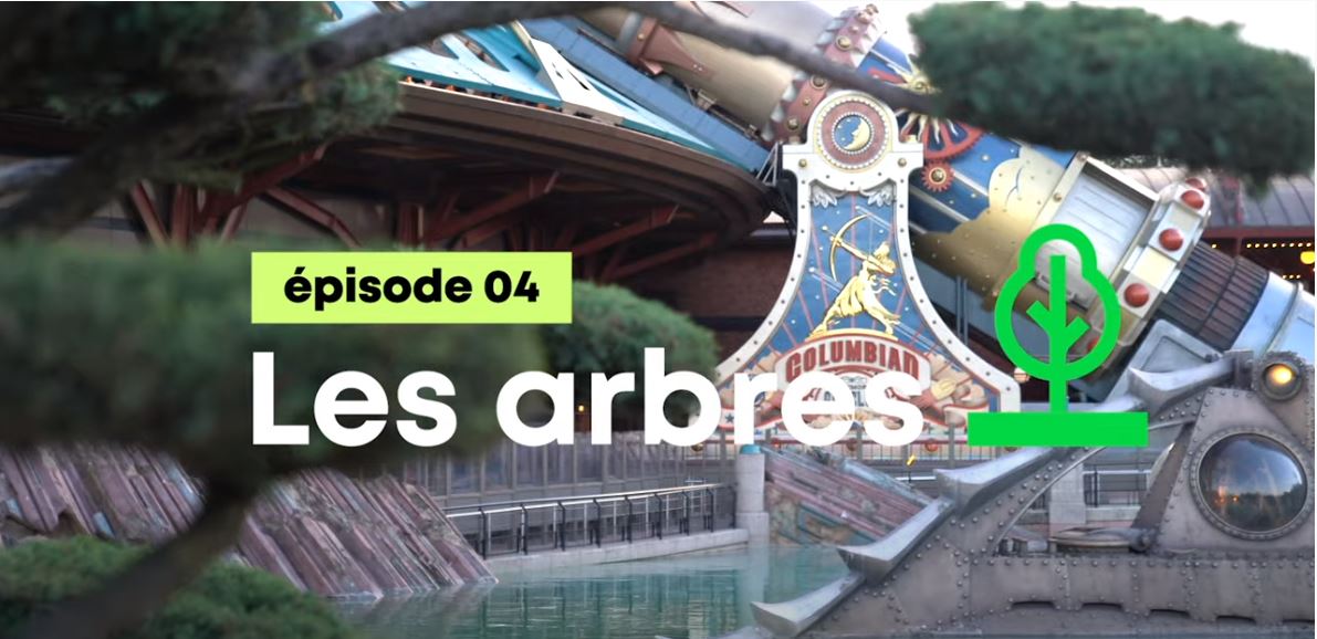Disneyland Paris : l’enVERT du décor [ÉPISODE 4 : LES ARBRES]